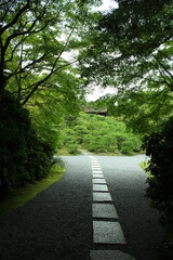 京都　竹林の小径