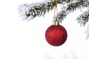 Christmas decorations on the pine branch