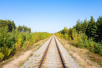 Railway through autumn forest. Aerial view