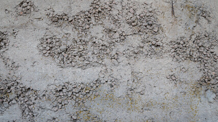 Texture of old reinforced concrete with protruding rusty rebar and moss