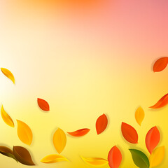 Falling autumn leaves. Red, yellow, green, brown n