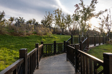 Obraz premium autumn in the park