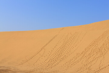 鳥取砂丘、青空