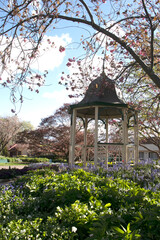 Corbett gardens landscape photography