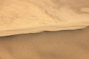 鳥取砂丘の風紋