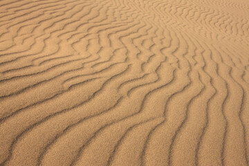鳥取砂丘の風紋
