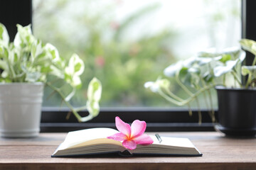 Pink frangipani flower with open notebook and plant pot on brown wooden table infront of windows
