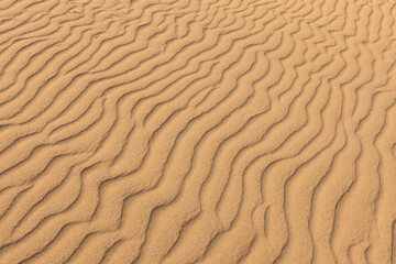 鳥取砂丘の風紋