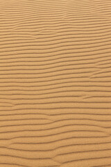 鳥取砂丘の風紋