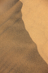 鳥取砂丘の風紋