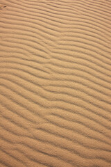 鳥取砂丘の風紋