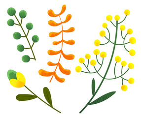 Plants with yellow round flowers, orange leaves, berries, decoration elements, natural eco symbols isolated at white background, part of tree, floral concept, objects for decoration, flora, natural