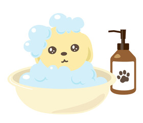 犬のトリミング　シャンプー