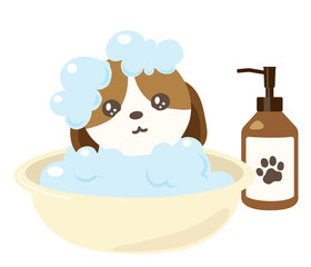 犬のトリミング　シャンプー　ビーグル