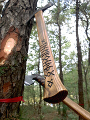 cutting a tree with an axe, doube bit axe, viking forest, camping with an axe, natural