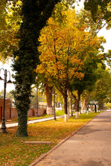 Naklejka premium Autumn in Tashkent
