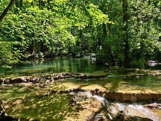 Fototapeta premium river in the woods