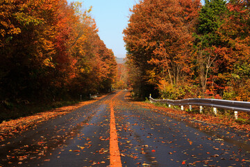 蒜山高原の紅葉
