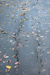 buntes Herbstlaub