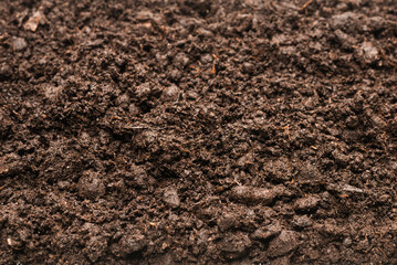 Black land for plant background.