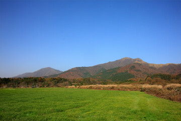 Fototapeta premium 秋の蒜山