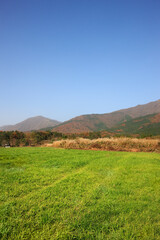 Obraz premium 蒜山高原の草原