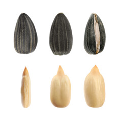 Set of sunflower seeds on white background