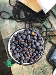 blueberries in a bowl