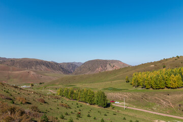 Autumn mountain landscape. green and yellow trees on the hillside. Forest in the mountains....