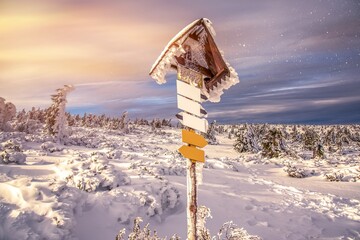 winter landscape in December, the index of a tourist route in mountains