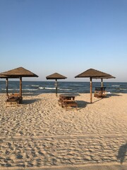 lounge chairs on the beach
