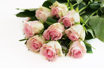 Pink rose flowers bouquet on white background