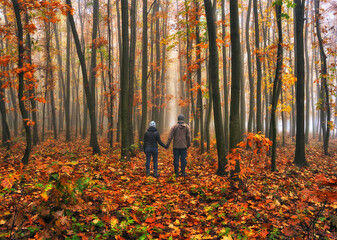 couple walking in fantasy autumn forest. Silhouette of woman and man in a dark and foggy forest