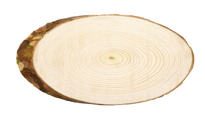 Oval cross section of pine tree