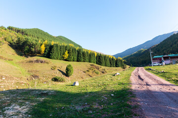 Autumn mountain landscape. green and yellow trees on the hillside. Forest in the mountains....