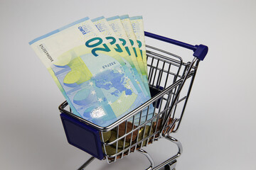 View on isolated shopping cart modell with euro currency paper bills, white blank background - purchase power and gross national domestic (gnp, gdp) product concept