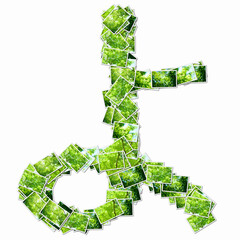 森の写真でひらがなの文字