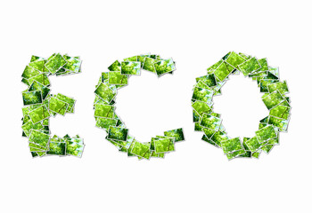 森の写真でアルファベットのECOの文字