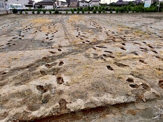 sand castle on the beach