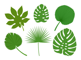 Set of tropical leaves isolated on white background. Vector illustration.