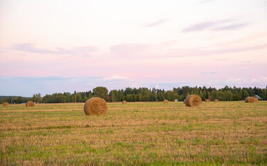 Sunset over a mown field with haystacks.
