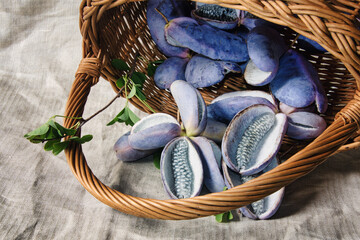 Akebia quinata fruits in the basket