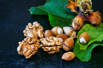 Autumn nuts on the metal black background