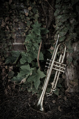 Fototapeta na wymiar Jazz Trumpet Nature