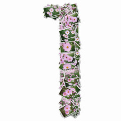 花の写真で数字