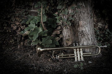 Jazz Trumpet Nature
