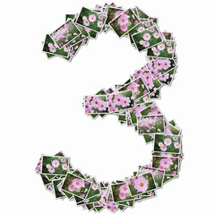 花の写真で数字