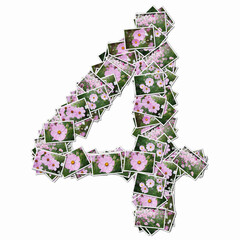 花の写真で数字