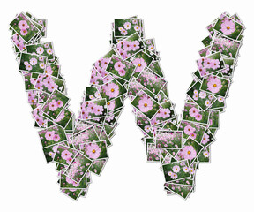 花の写真でアルファベットの大文字