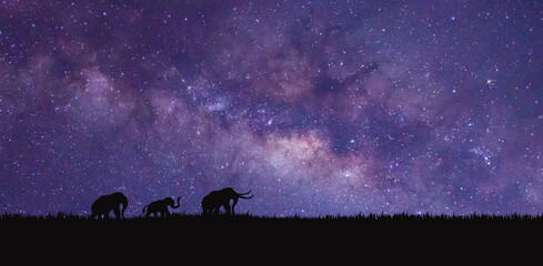 Panorama blue night sky milky way and star on dark background.Universe filled with stars, nebula and galaxy with noise and grain,Silhouette Elephant traveling on the ground at night.
